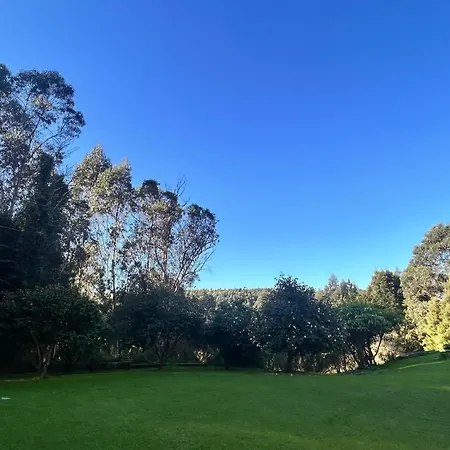 Villa Lagares Manor House