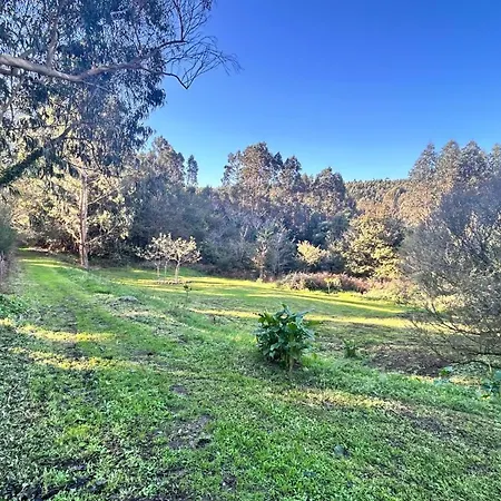 Villa Lagares Manor House *