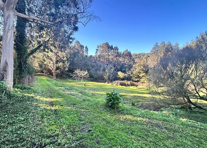 ヴィラ Lagares Manor House *